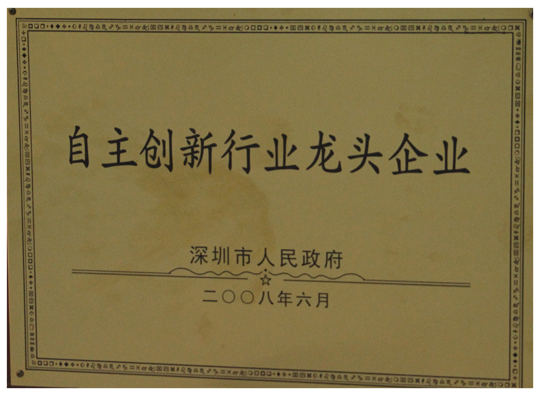 自主创新行业龙头企业